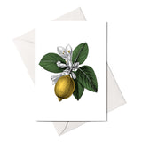 LIMONCELLO CARD