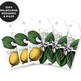 TAGS WHITE MATT LIMONCELLO